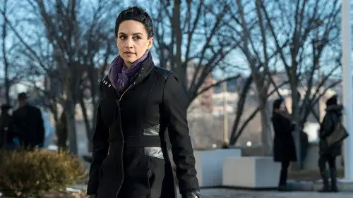 Blindspot Temporada 2 Episodios 16 • Sub Español