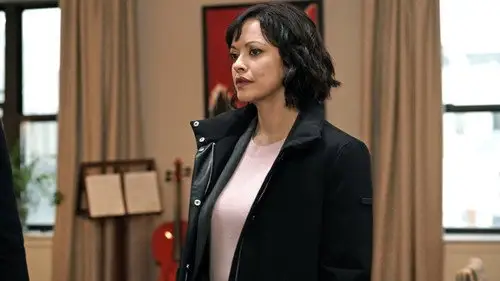 Familia de policías Temporada 9 Episodios 16 • Sub Español
