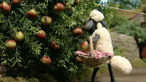 La oveja Shaun Temporada 1 Episodios 5 • Sub Español