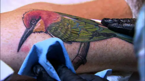 Ink Master Temporada 5 Episodios 15 • Sub Español