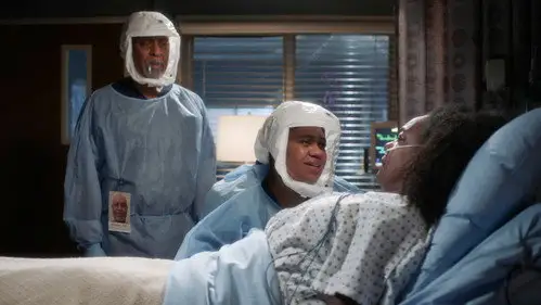 Anatomía de Grey Temporada 17 Episodios 5 • Sub Español