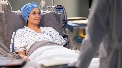 Anatomía de Grey Temporada 19 Cap 10 • Español Online