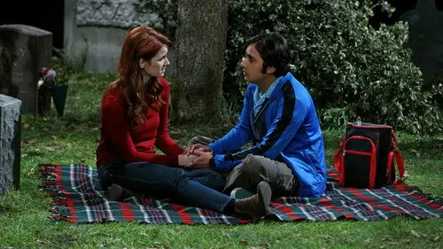 Big Bang Temporada 8 Episodios 24 • Sub Español