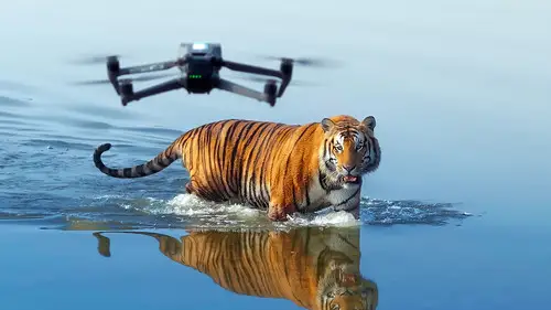 Tiger Island Temporada 1 Episodios 1 • Sub Español
