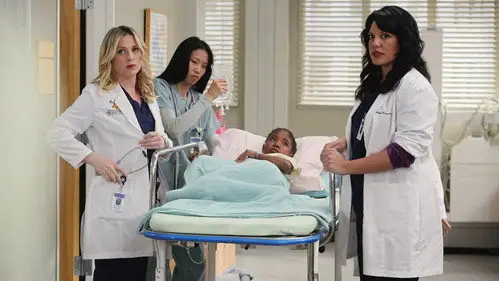 Anatomía de Grey Temporada 6 Cap 23 • Español Online