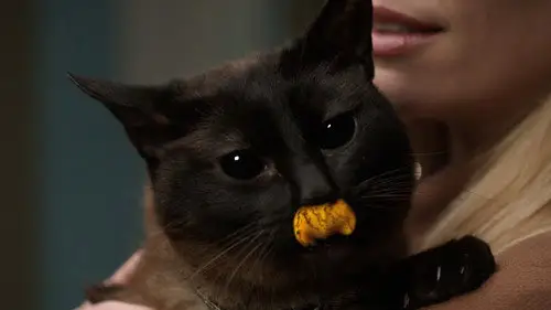 Grimm Temporada 1 Episodios 22 • Sub Español
