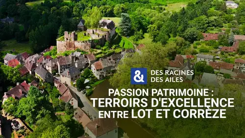Des racines & des ailes Temporada 28 Episodios 7 • Sub Español