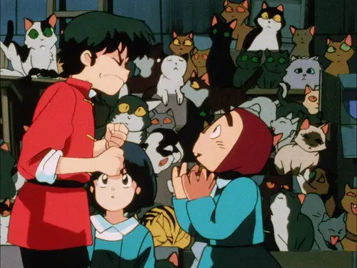 Ranma ½ Temporada 1 Episodios 20 • Sub Español