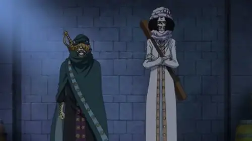 One Piece Temporada 19 Episodios 812 • Sub Español