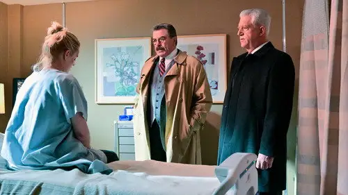 Familia de policías Temporada 11 Episodios 12 • Sub Español