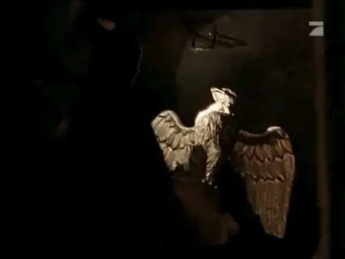 Cazatesoros Temporada 2 Episodios 17 • Sub Español