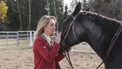Heartland Temporada 6 Episodios 13 • Sub Español