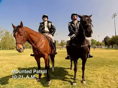 Reno 911! Temporada 4 Episodios 11 • Sub Español