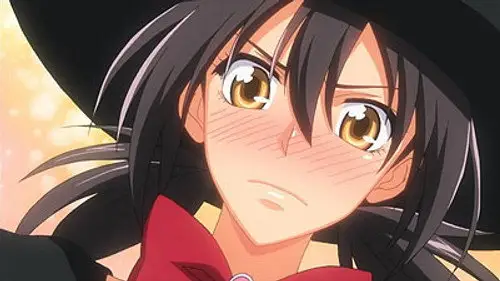 Kaichou wa Maid-sama! Temporada 1 Episodios 24 • Sub Español