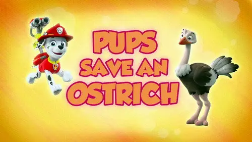 La Patrulla Canina Temporada 5 Episodios 2 • Sub Español