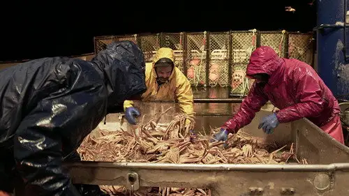Pesca radical Temporada 13 Episodios 12 • Sub Español
