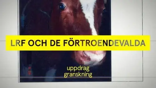Uppdrag granskning Temporada 21 Episodios 2 • Sub Español