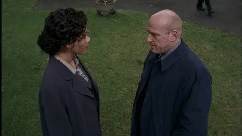 Millennium Temporada 3 Episodios 19 • Sub Español