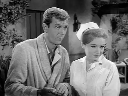 Perry Mason Temporada 8 Episodios 6 • Sub Español