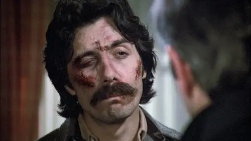 Canción triste de Hill Street Temporada 2 Episodios 13 • Sub Español