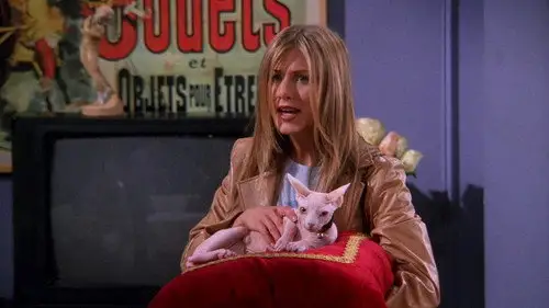 Friends Temporada 5 Episodios 21 • Sub Español