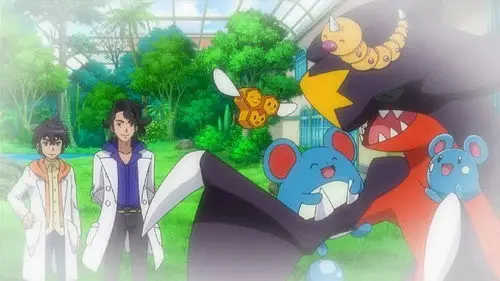 Pokémon Temporada 18 Episodios 20 • Sub Español