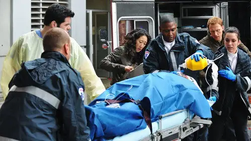 Anatomía de Grey Temporada 6 Cap 16 • Español Online