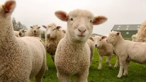 Countryfile S34E17 • Oglądaj Online