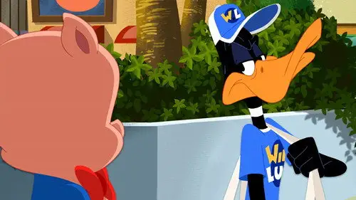 The Looney Tunes Show Temporada 2 Episodios 14 • Sub Español