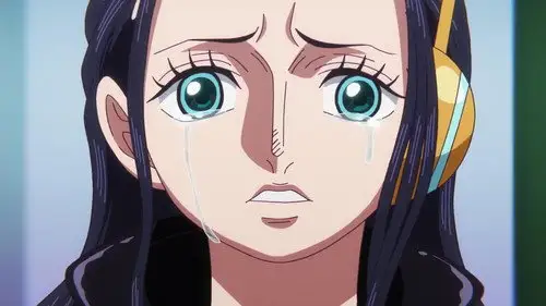 One Piece Temporada 22 Episodios 1096 • Sub Español