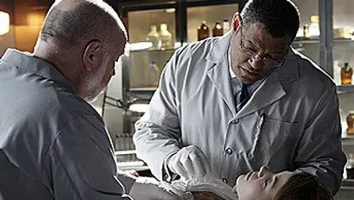 CSI: Las Vegas Temporada 9 Episodios 14 • Sub Español