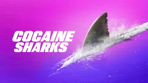 Shark Week S36E13 • Oglądaj Online
