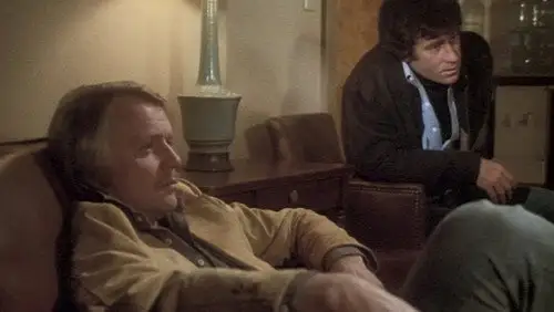 Starsky y Hutch Temporada 4 Episodios 19 • Sub Español