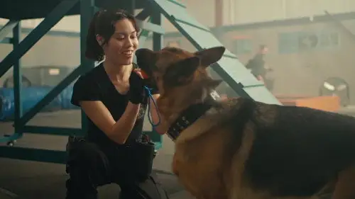 Hudson & Rex Temporada 7 Episodios 4 • Sub Español