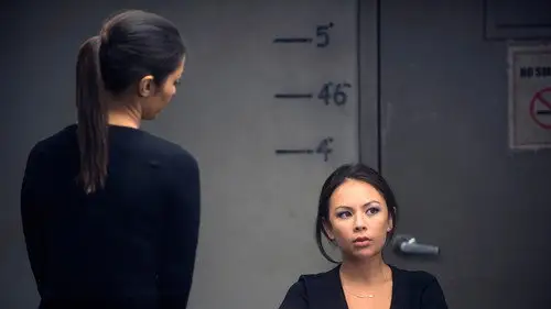 Los misterios de Laura (USA) Temporada 1 Episodios 20 • Sub Español