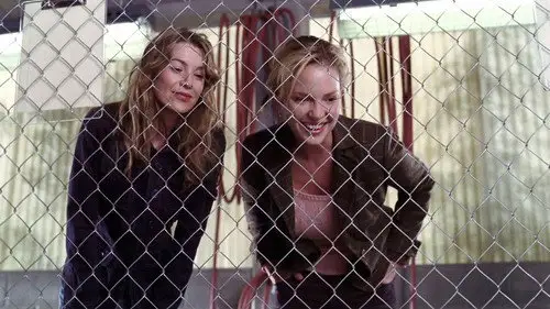 Anatomía de Grey Temporada 2 Episodios 11 • Sub Español
