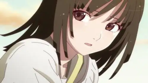 Monogatari Temporada 1 Episodios 11 • Sub Español