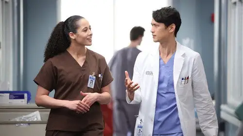 Anatomía de Grey Temporada 19 Cap 16 • Español Online