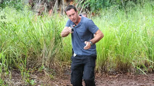 Hawái 5.0 Temporada 6 Episodios 13 • Sub Español
