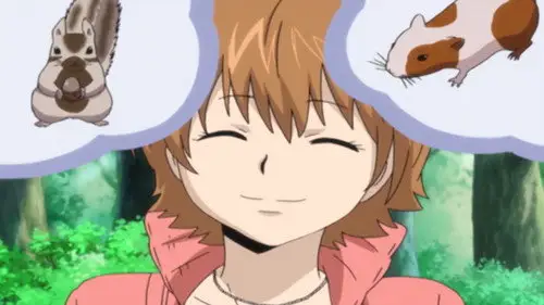 Katekyo Hitman Reborn! Temporada 1 Episodios 14 • Sub Español