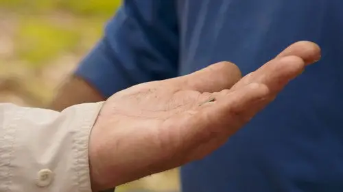 La maldición de Oak Island Temporada 10 Episodios 8 • Sub Español