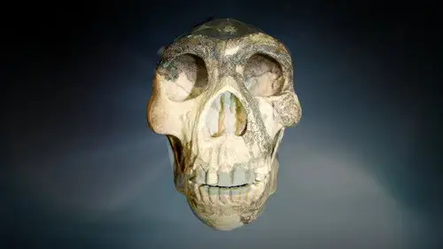 Alienígenas ancestrales Temporada 17 Episodios 5 • Sub Español