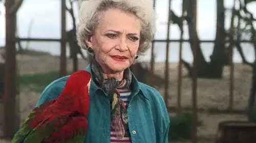 Magnum 1980 Temporada 3 Episodios 16 • Sub Español