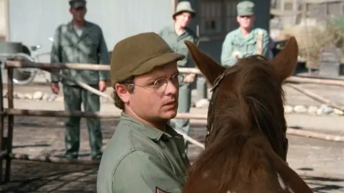 M*A*S*H Temporada 5 Episodios 11 • Sub Español