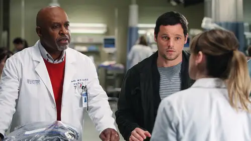 Anatomía de Grey Temporada 7 Episodios 15 • Sub Español