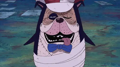 One Piece Temporada 10 Episodios 347 • Sub Español