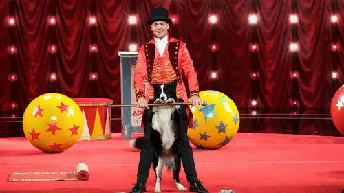 America's Got Talent Temporada 14 Episodios 8 • Sub Español