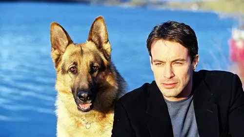 Rex, un policía diferente Temporada 7 Episodios 9 • Sub Español