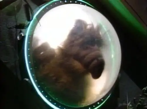 ALF Temporada 0 Episodios 1 • Sub Español