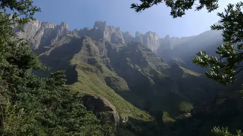 Nature S27E7 • Oglądaj Online